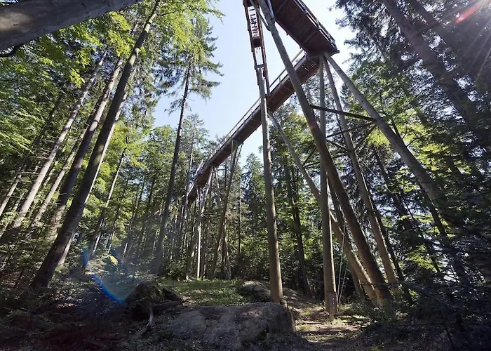 Cozy I Blockhuette Im Nationalpark I Ferienwohnung