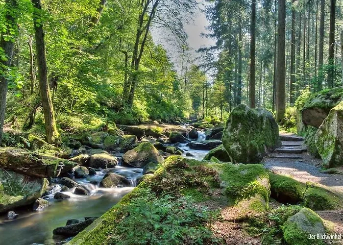 Cozy I Blockhuette Im Nationalpark I Ferienwohnung