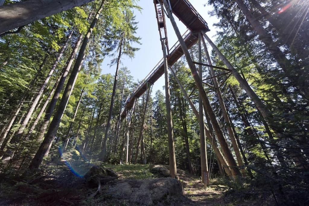 Cozy I Blockhuette Im Nationalpark I Apartment *