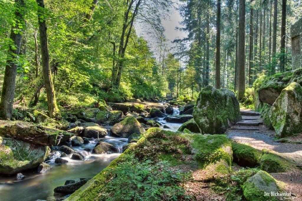 Cozy I Blockhuette Im Nationalpark I Apartment Neureichenau
