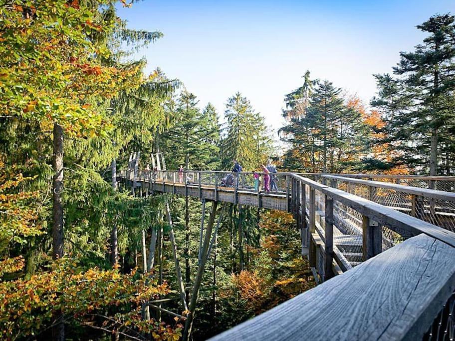 Apartment Cozy I Blockhuette Im Nationalpark I *