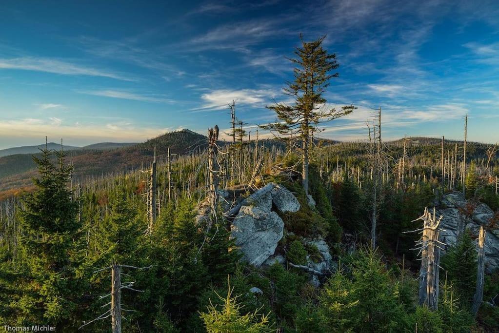 Cozy I Blockhuette Im Nationalpark I